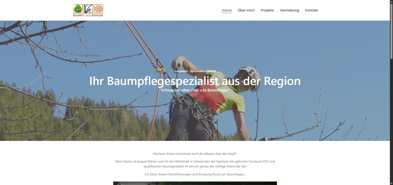Screenshot von Baumpflege Bühler