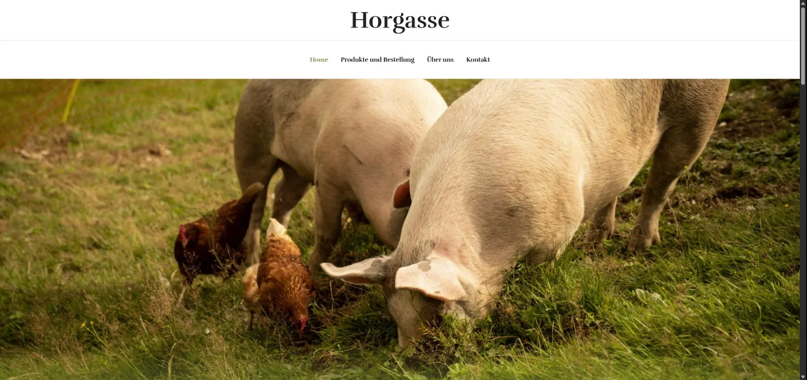 Screenshot von Horgasse